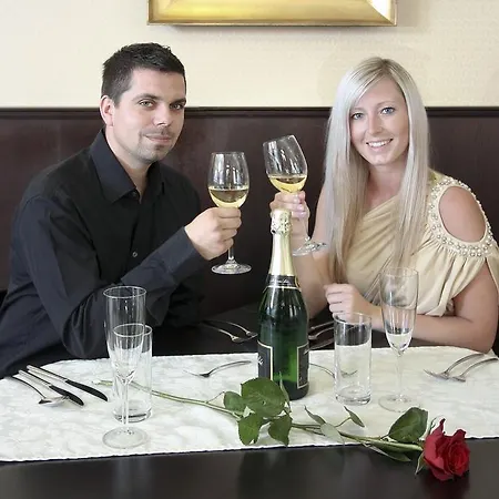 Lev Hotel Lovosice