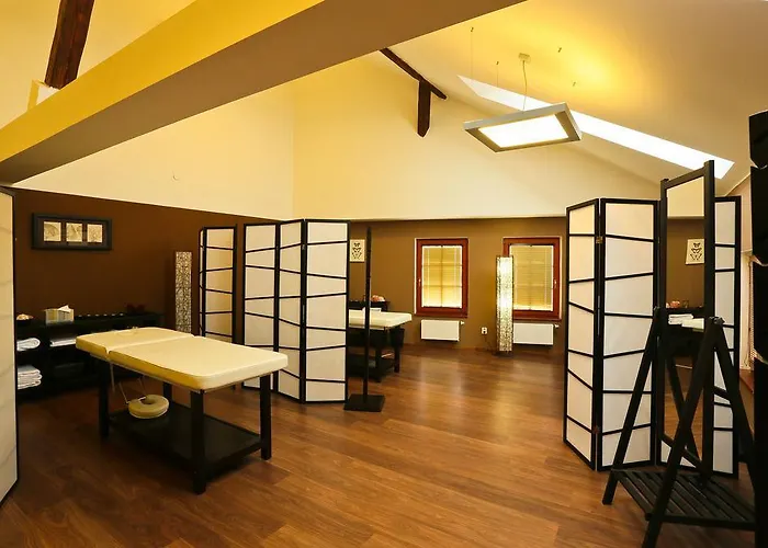 Hotel Lev